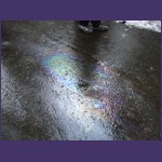 DSCF2646.JPG